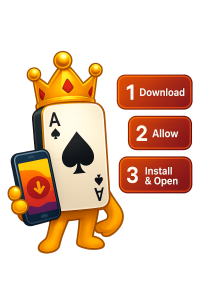 Wild Ace APK install steps